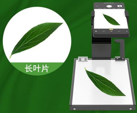 葉面面積分析儀系統框架圖