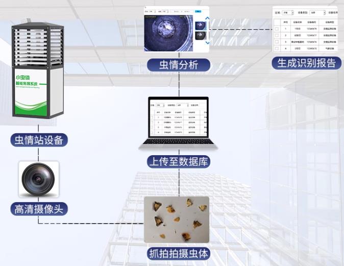 小蟲體智能測報系統(tǒng)(R9款)系統(tǒng)框架圖